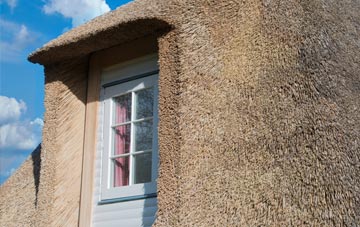 Trofarth thatch roof disadvantages